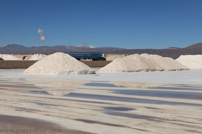 Lithium Extraction from Salt Lake